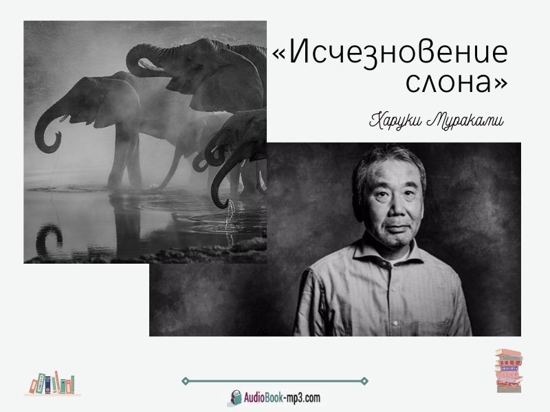 «Исчезновение слона» краткое содержание