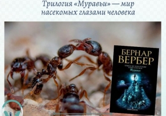 Трилогия «Муравьи» — мир насекомых глазами человека