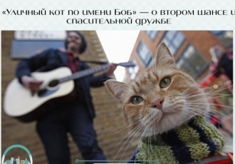 «Уличный кот по имени Боб» — о втором шансе и спасительной дружбе