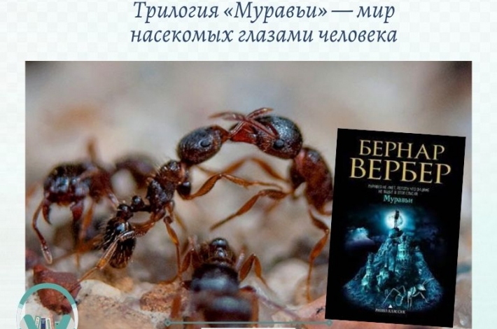 Статья Трилогия «Муравьи» — мир насекомых глазами человека