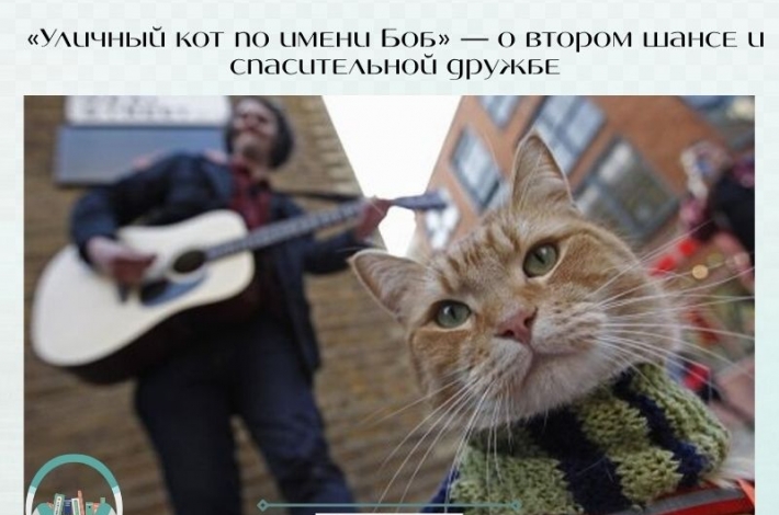Статья «Уличный кот по имени Боб» — о втором шансе и спасительной дружбе